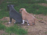 DSCN6861.JPG