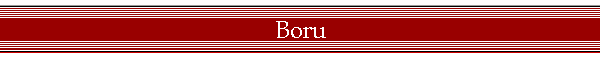 Boru