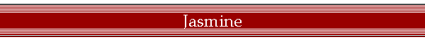 Jasmine